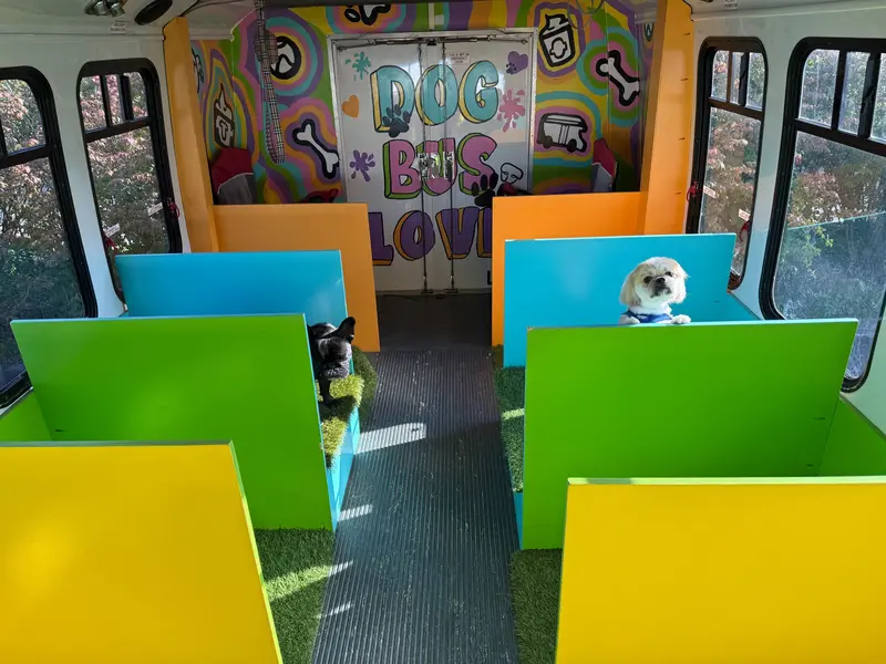 Inside The Magic Dog Bus: bright separate compartments with turf floors and a painted Dog Bus Love mural