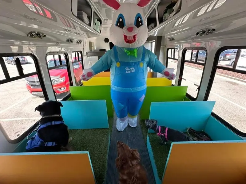Dogs riding the bus with a visiting Easter bunny